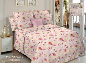 7857 Акварель