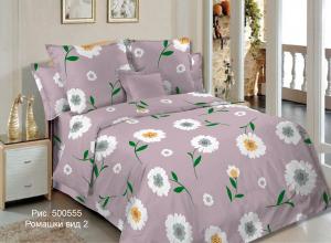 500555 Ромашки вид 2